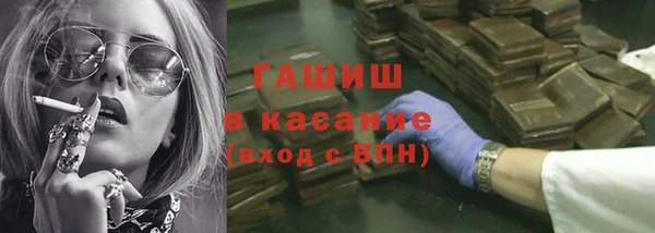 гашик Алексин