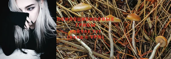 MDMA Абдулино