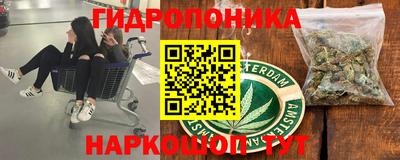 ешки Новоалтайск