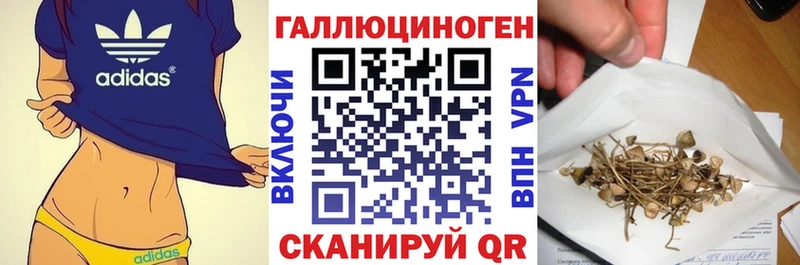 Галлюциногенные грибы Psilocybine cubensis  Нальчик 