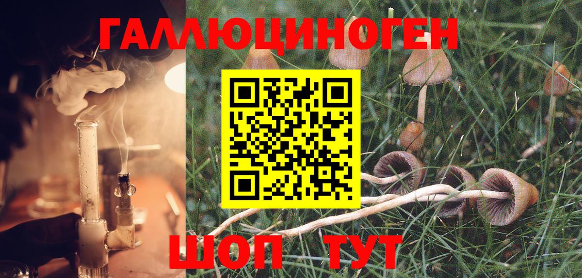 Нальчик  закладки  Вход с VPN  Псилоцибиновые грибы GOLDEN TEACHER 