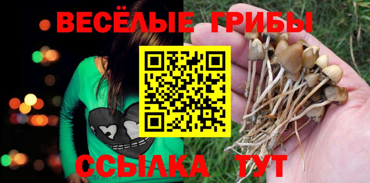 Псилоцибиновые грибы GOLDEN TEACHER Нальчик